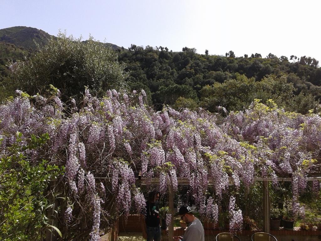 B&B La Quercia San Gregorio  Экстерьер фото